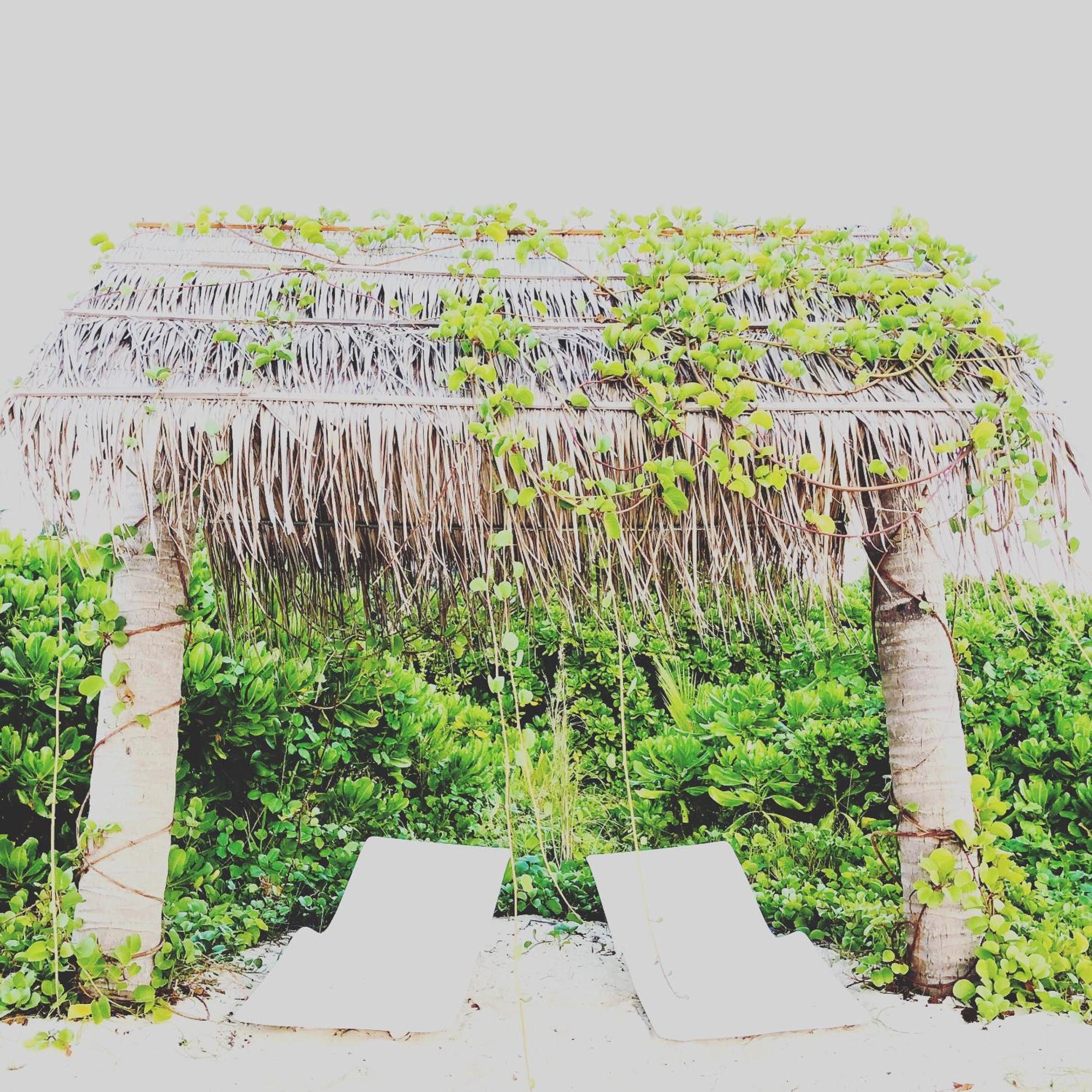 Hotel Infinity Dhiffushi Exterior foto